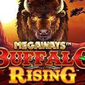 Buffalo Rising